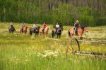 Horseback riding is one of many nearby activities